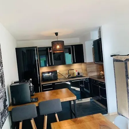 3 Pieces Avec Garage Et Terrasse ストラスブール